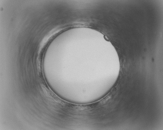 X0000051910343200507152037