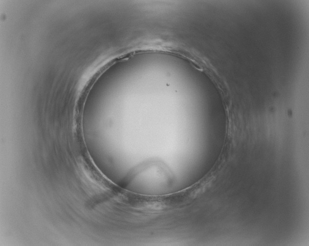 X0000051910344200507152037