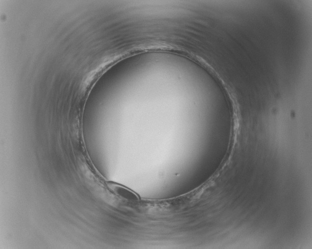 X0000051910345200507152037