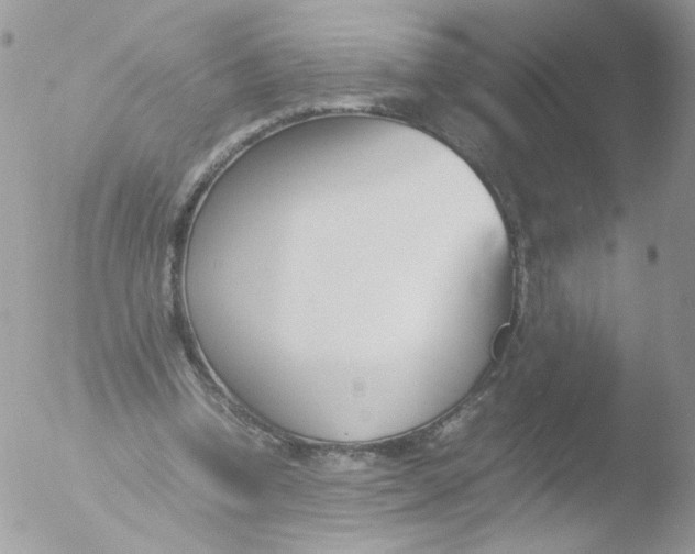 X0000051910346200507152037