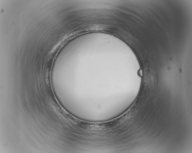 X0000051910347200507152037