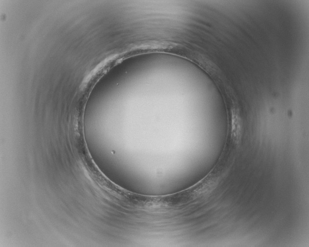 X0000051910348200507152037