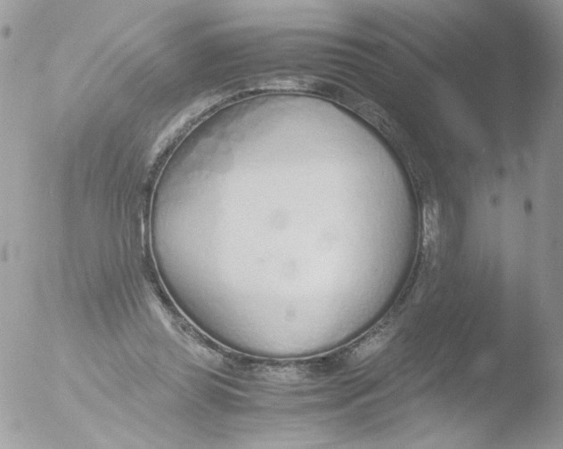 X0000051910349200507152037