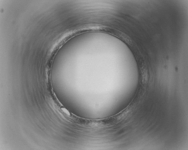 X0000051910350200507152037