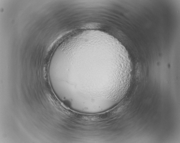 X0000051910351200507152037