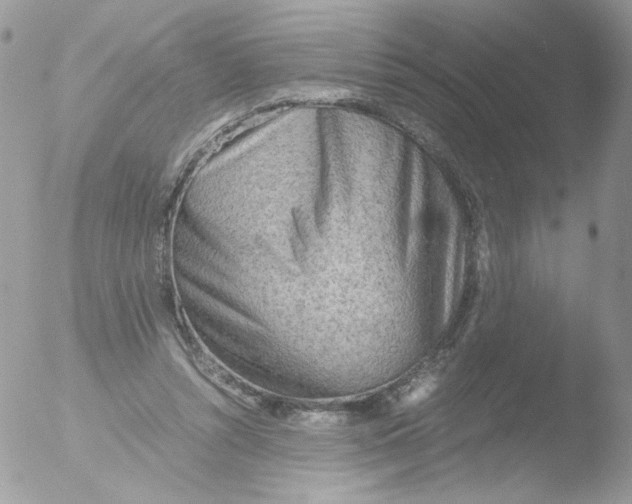 X0000051910352200507152037