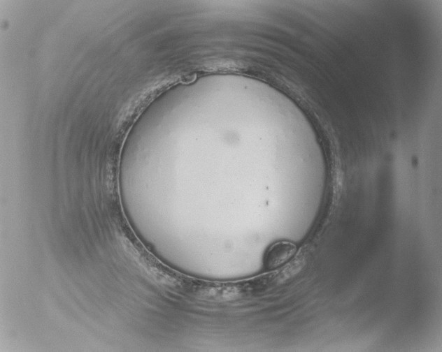 X0000051910353200507152037