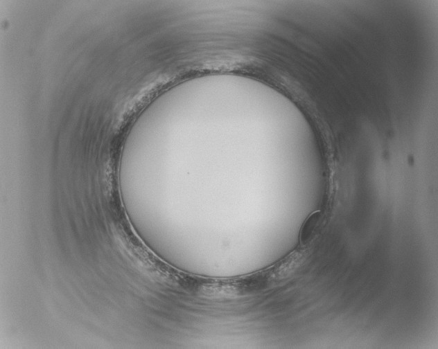 X0000051910354200507152037