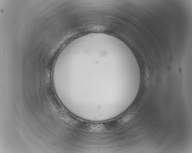 X0000051910355200507152037