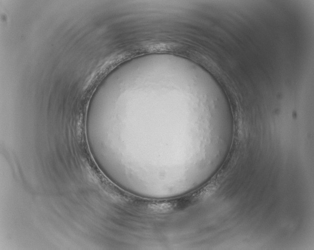 X0000051910357200507152037