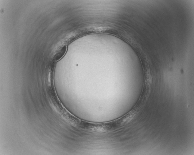 X0000051910358200507152037