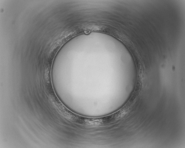 X0000051910359200507152037