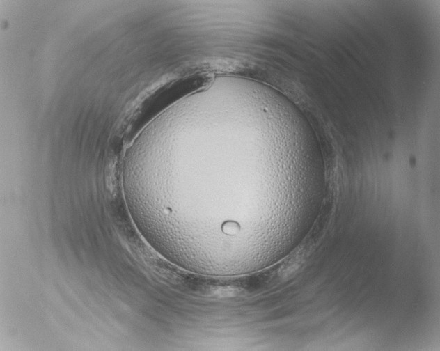 X0000051910360200507152037