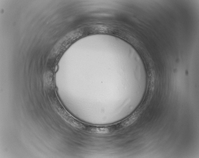 X0000051910361200507152037