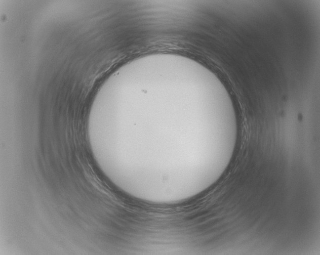 X0000051910362200507152037