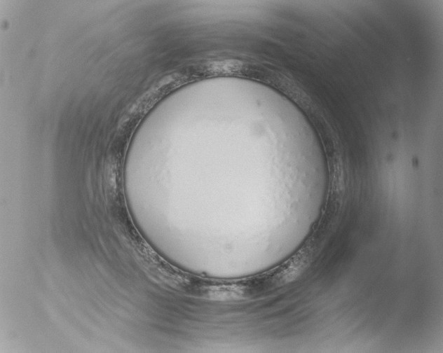 X0000051910363200507152037