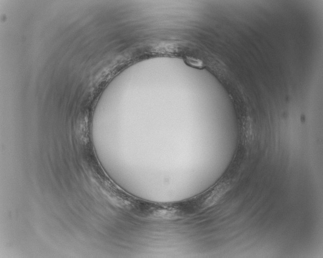 X0000051910364200507152037