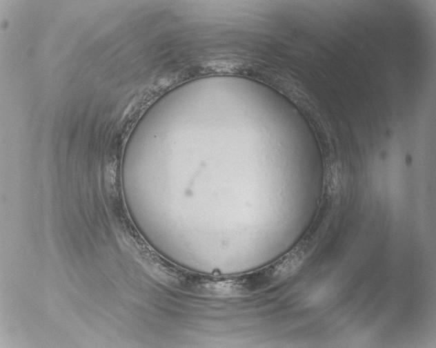 X0000051910365200507152037