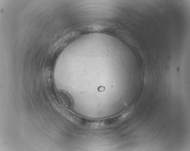 X0000051910366200507152037