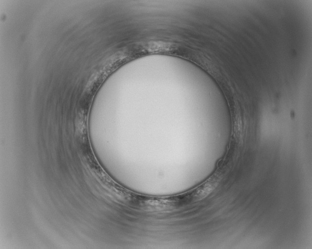 X0000051910367200507152037