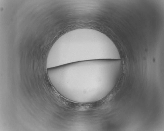 X0000051910368200507152037