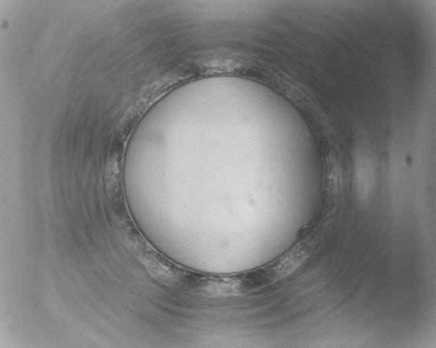 X0000051910369200507152037