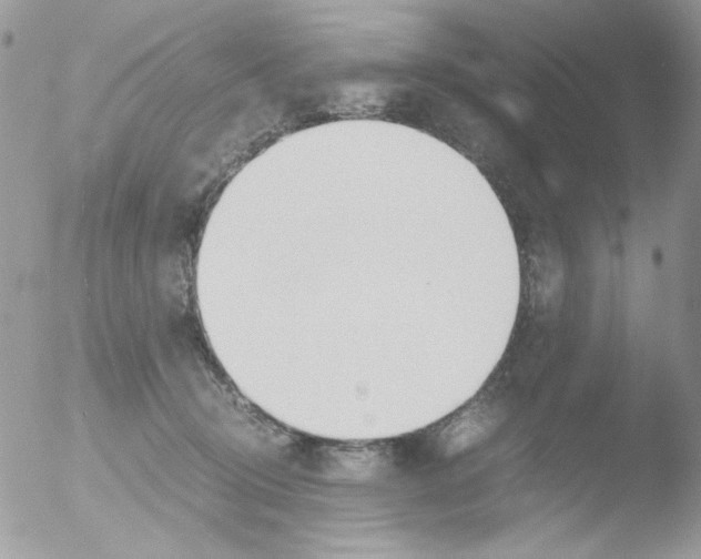 X0000051910370200507152037