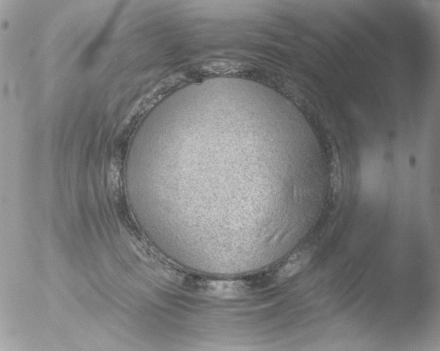 X0000051910371200507152037