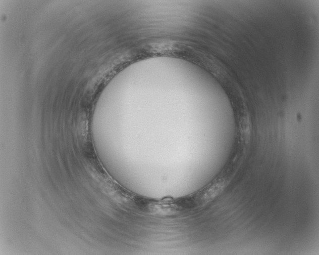 X0000051910372200507152037