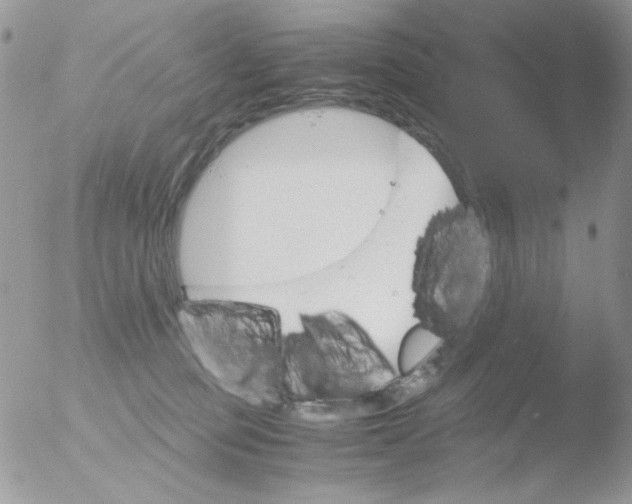 X0000051910373200507152037