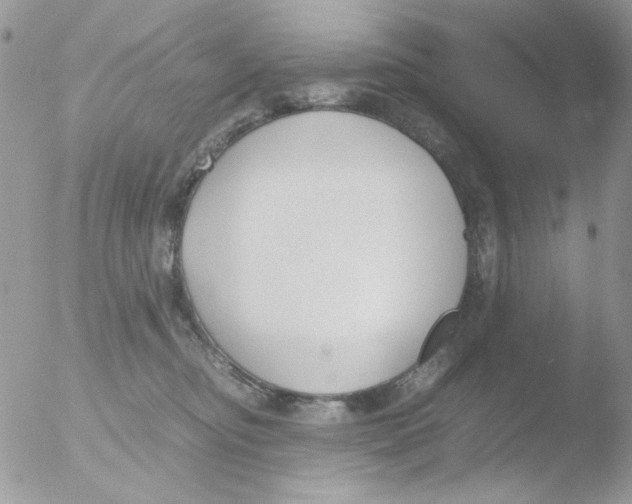 X0000051910374200507152037