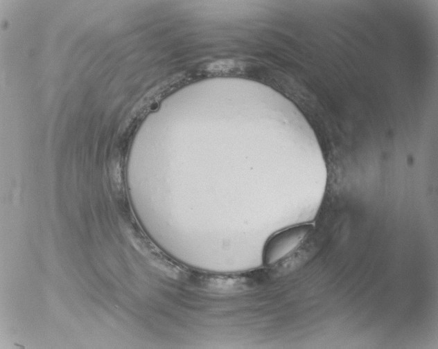 X0000051910375200507152037