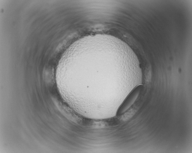 X0000051910376200507152037