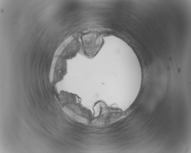 X0000051910377200507152037