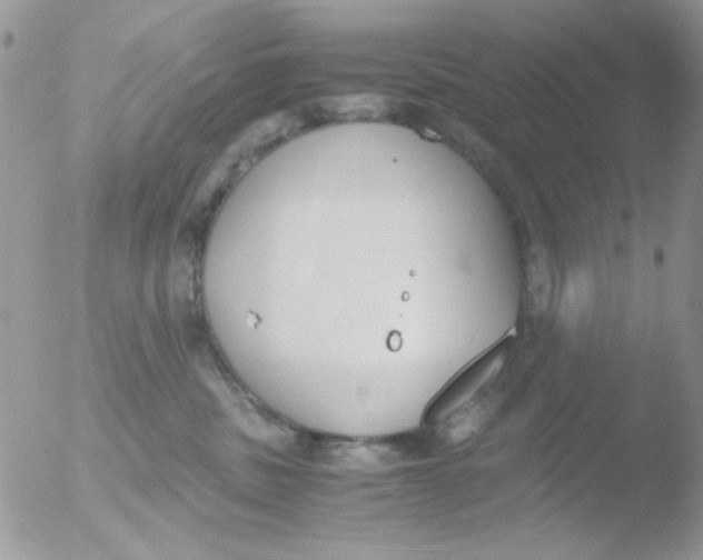 X0000051910379200507152037