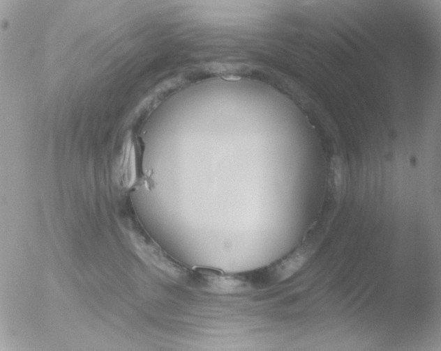 X0000051910380200507152037