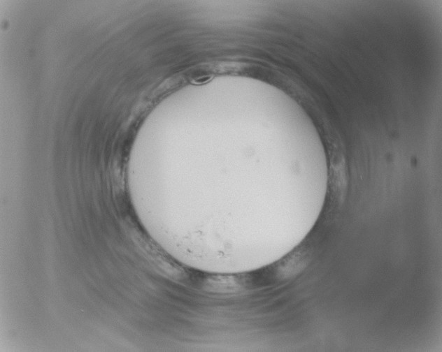 X0000051910381200507152037