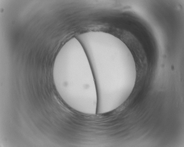 X0000051910383200507152037