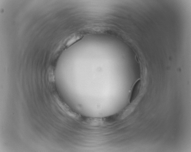 X0000051910384200507152037