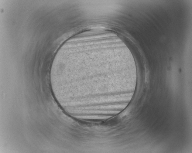 X0000051910385200507152036