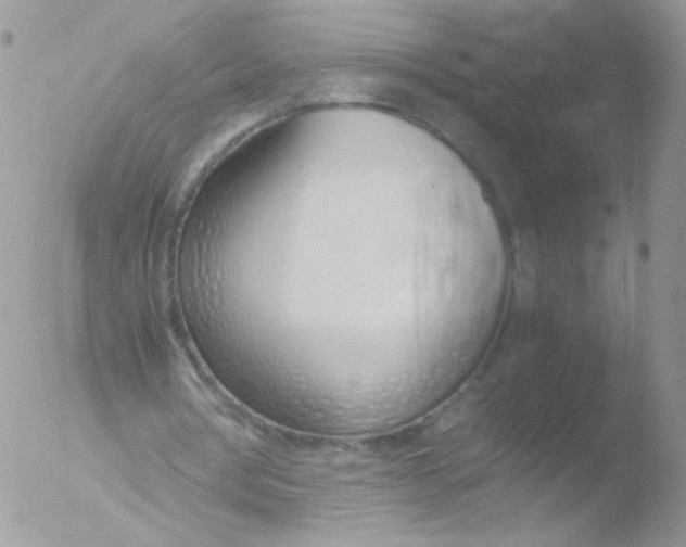 X0000051910386200507152036