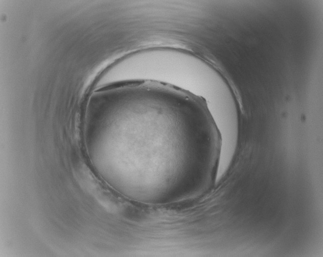 X0000051910387200507152036