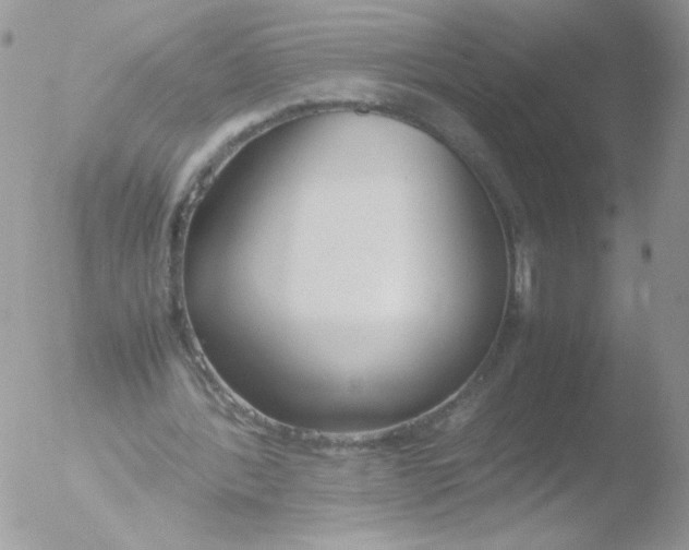 X0000051910388200507152036