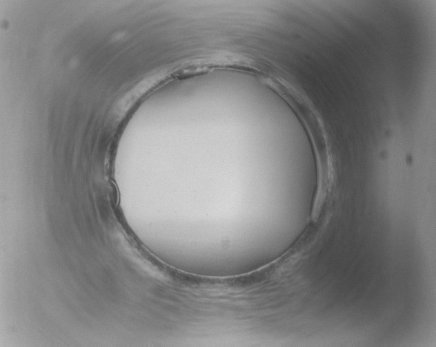 X0000051910389200507152036