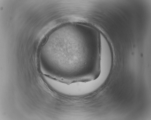 X0000051910391200507152036