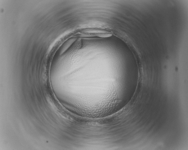 X0000051910392200507152036