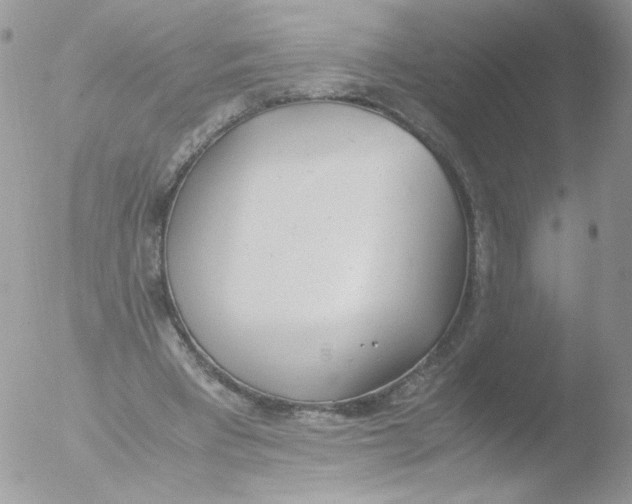 X0000051910393200507152036