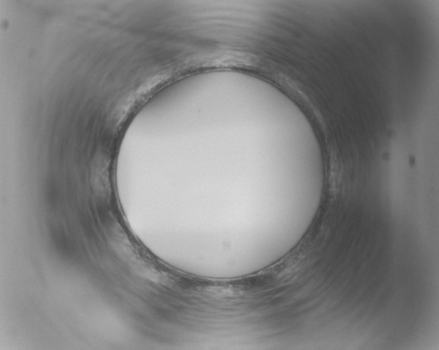 X0000051910394200507152036