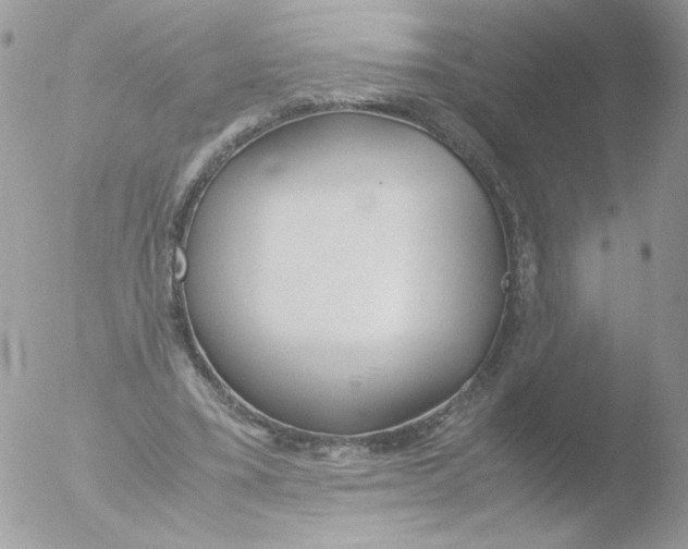 X0000051910395200507152036