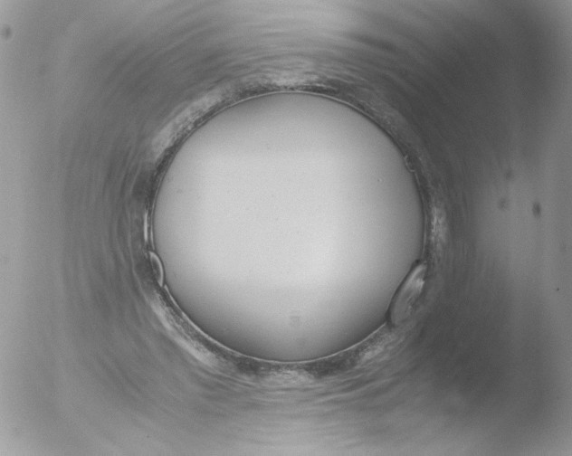 X0000051910397200507152036